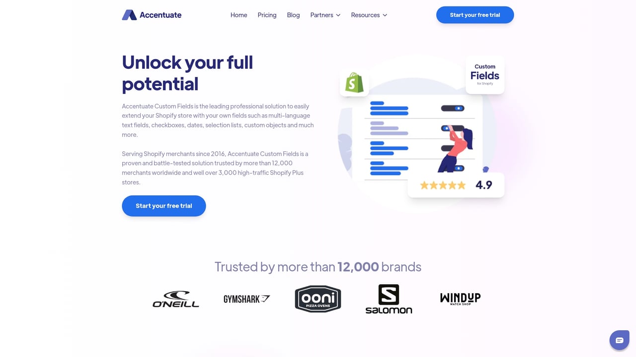 Screenshot of Accentuate Custom Fields website