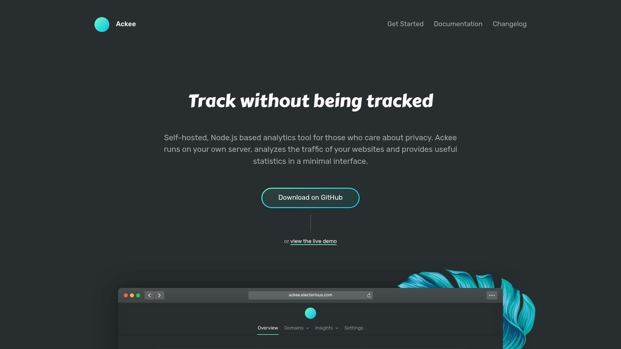 Screenshot of Ackee website