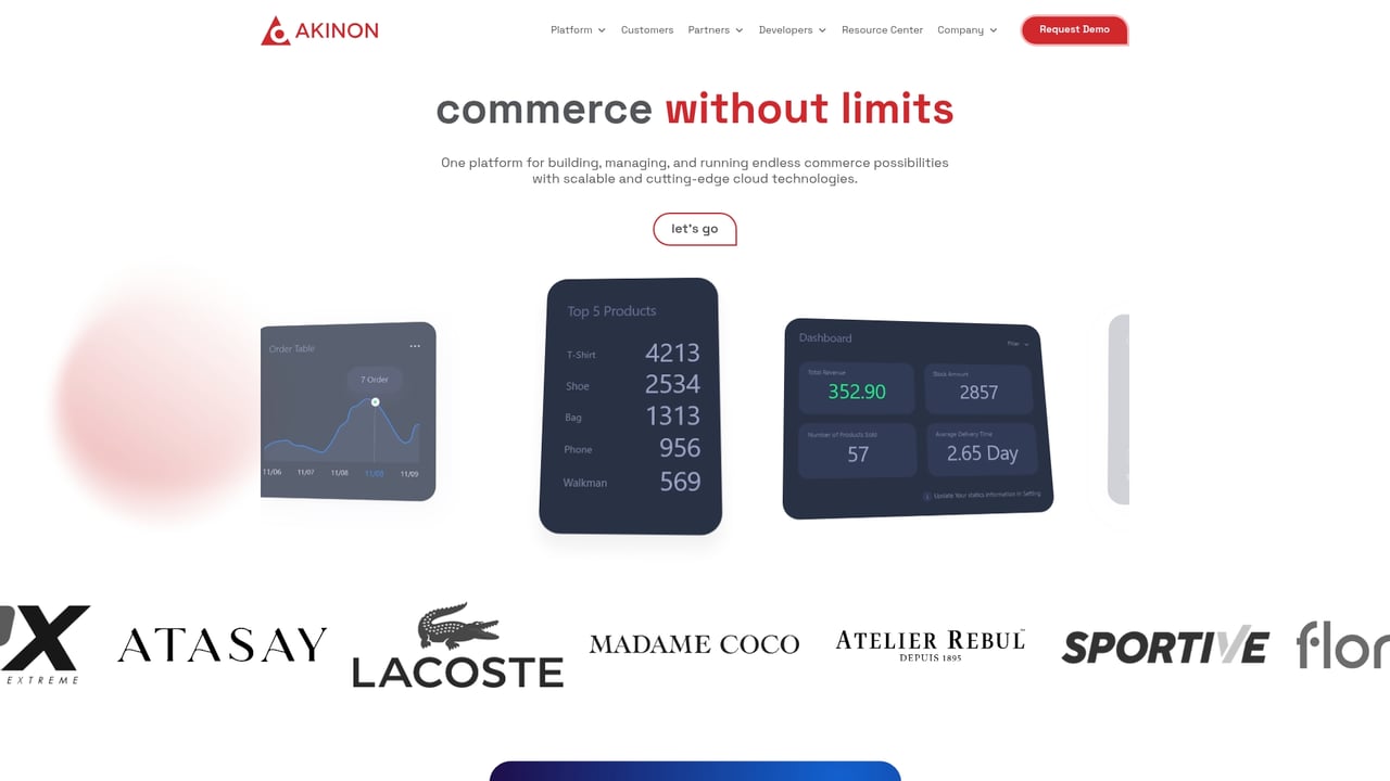 Screenshot of Akinon website