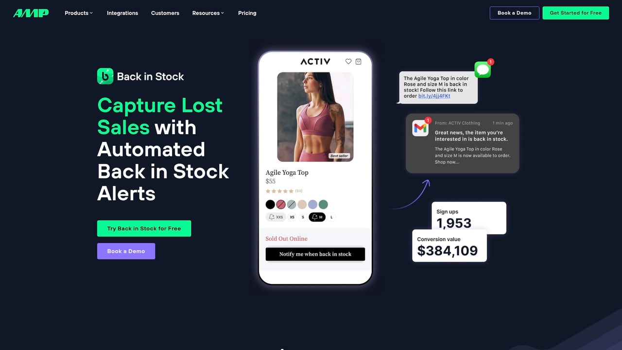 Screenshot of Back In Stock website