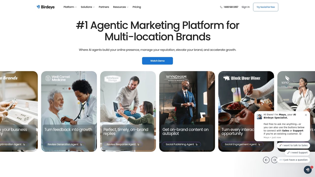 Screenshot of Birdeye website