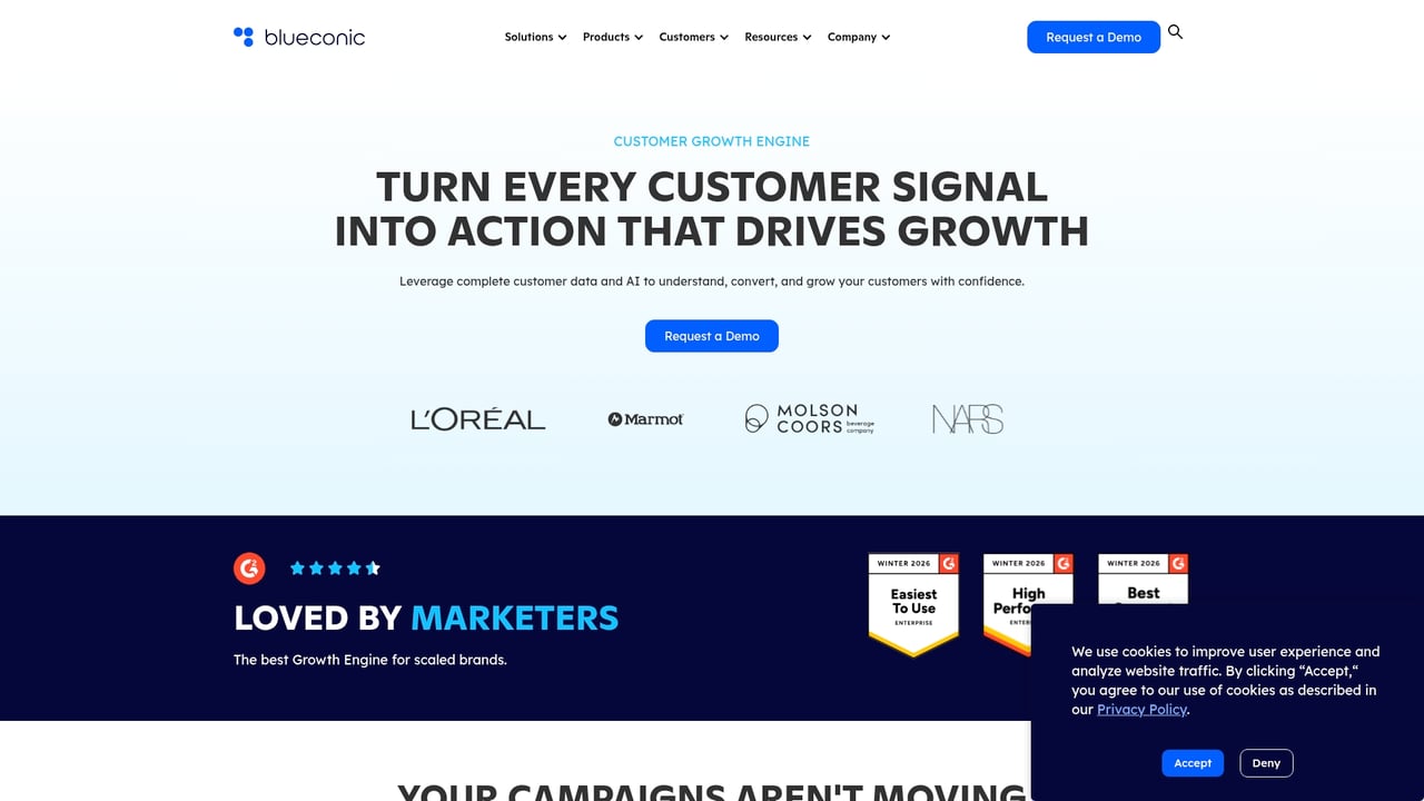 Screenshot of BlueConic website