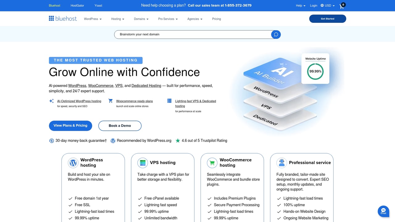 Screenshot of Bluehost website