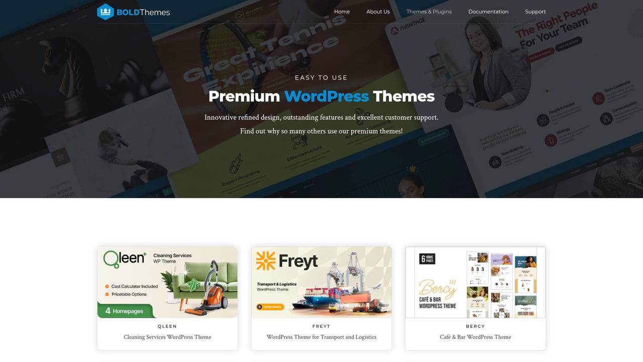 Screenshot of Bold Themes website