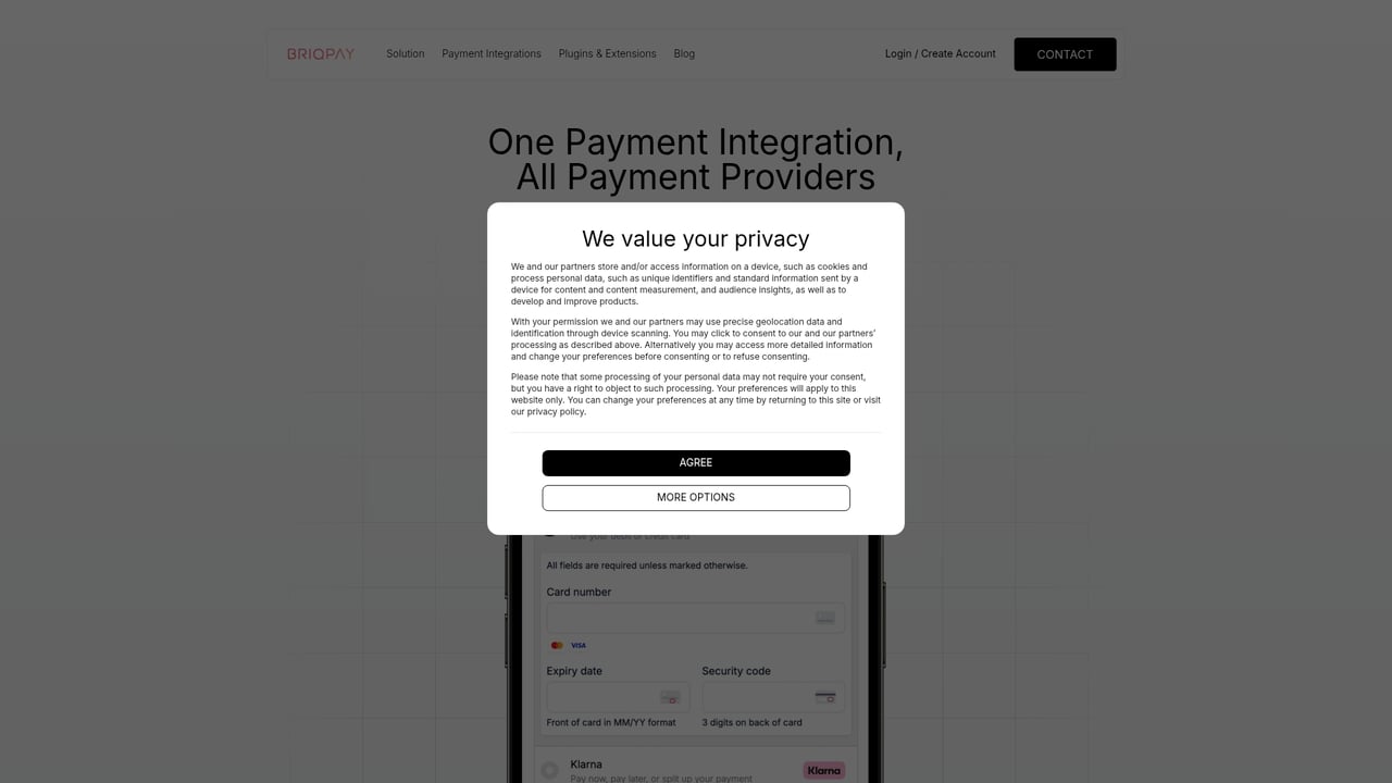 Screenshot of Briqpay website