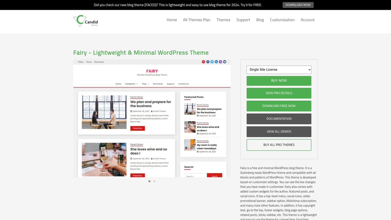 Screenshot of Candid Themes Fairy website