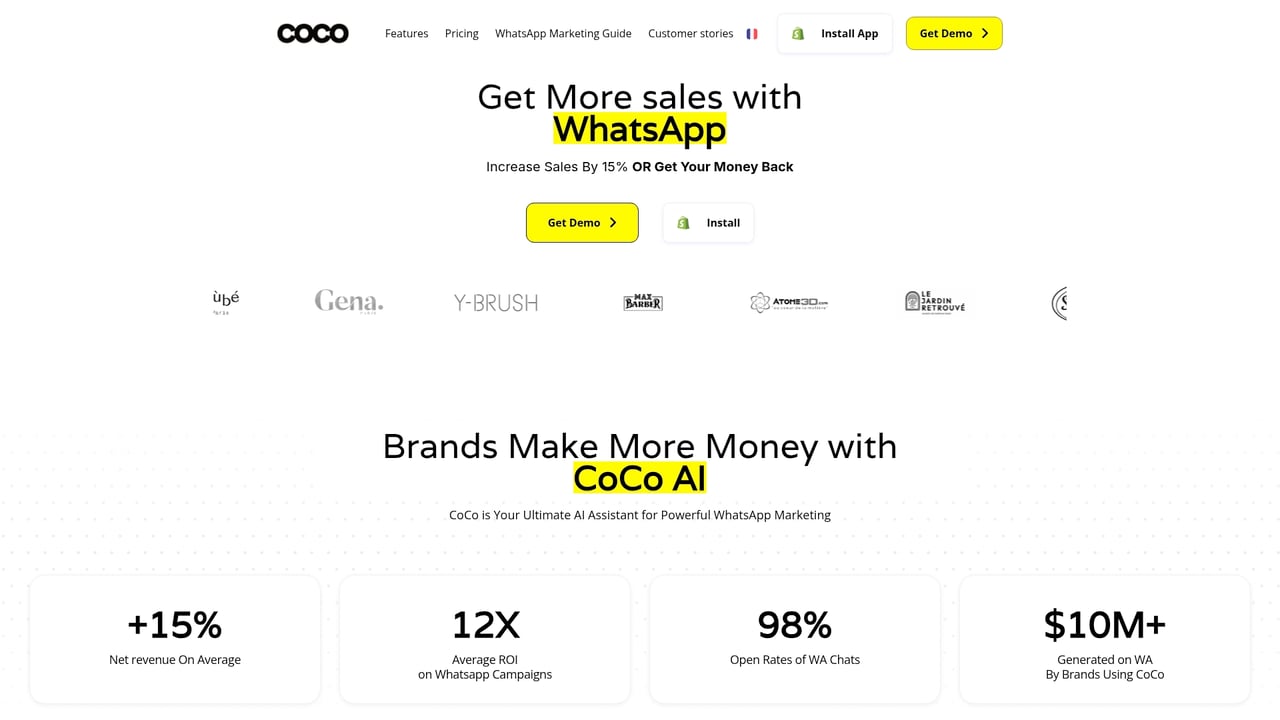 Screenshot of CoCo AI website