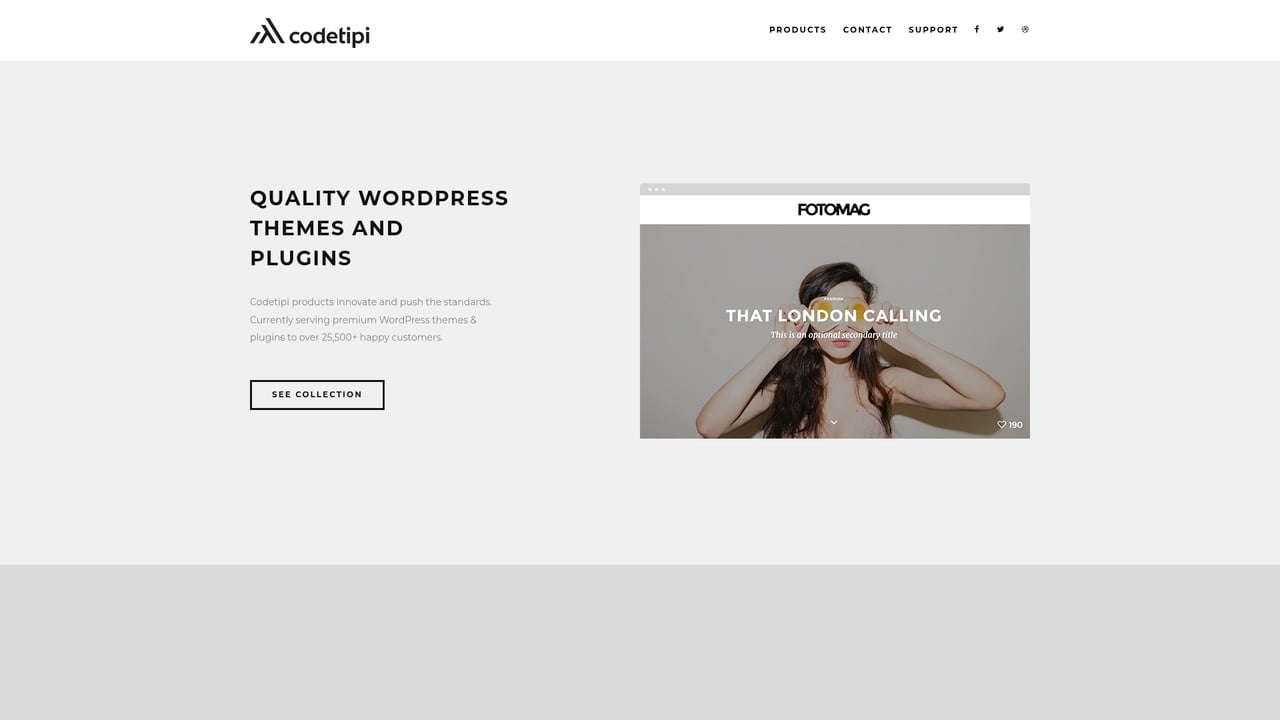 Screenshot of Codetipi website