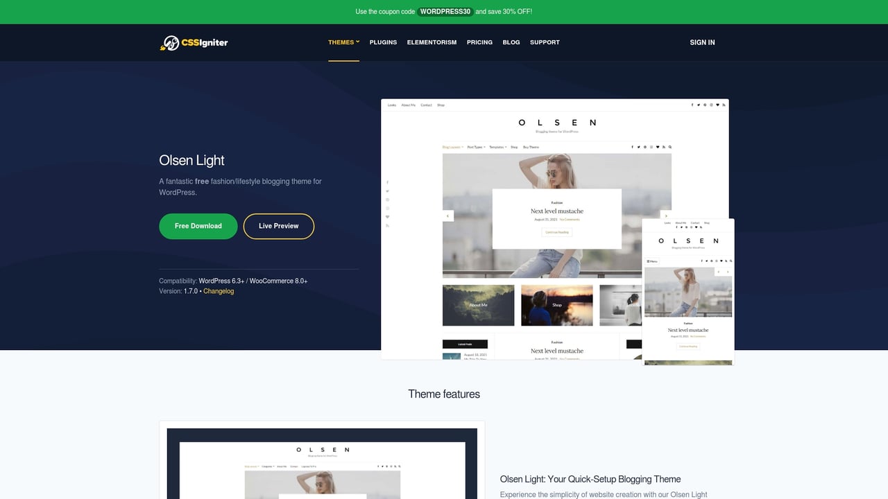 Screenshot of CSSIgniter Olsen Light website