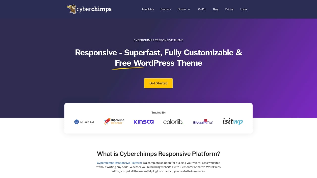 Screenshot of CyberChimps Responsive website