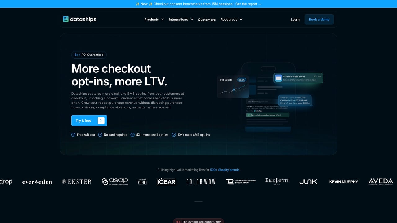 Screenshot of Dataships website