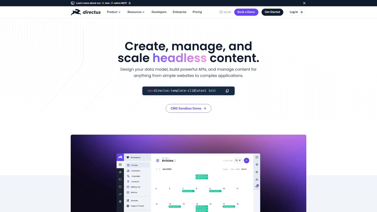 Screenshot of Directus website