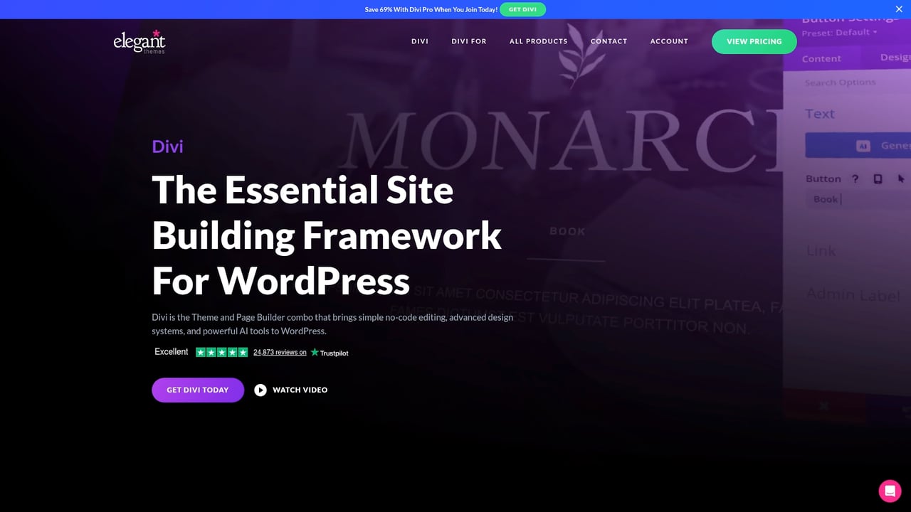 Screenshot of Divi website