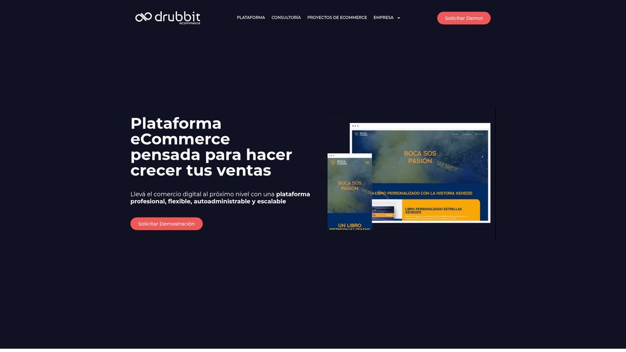 Screenshot of Drubbit website