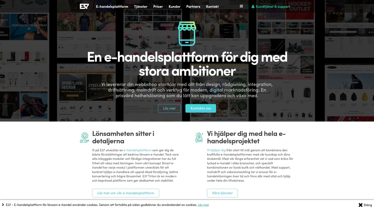 Screenshot of E37 website