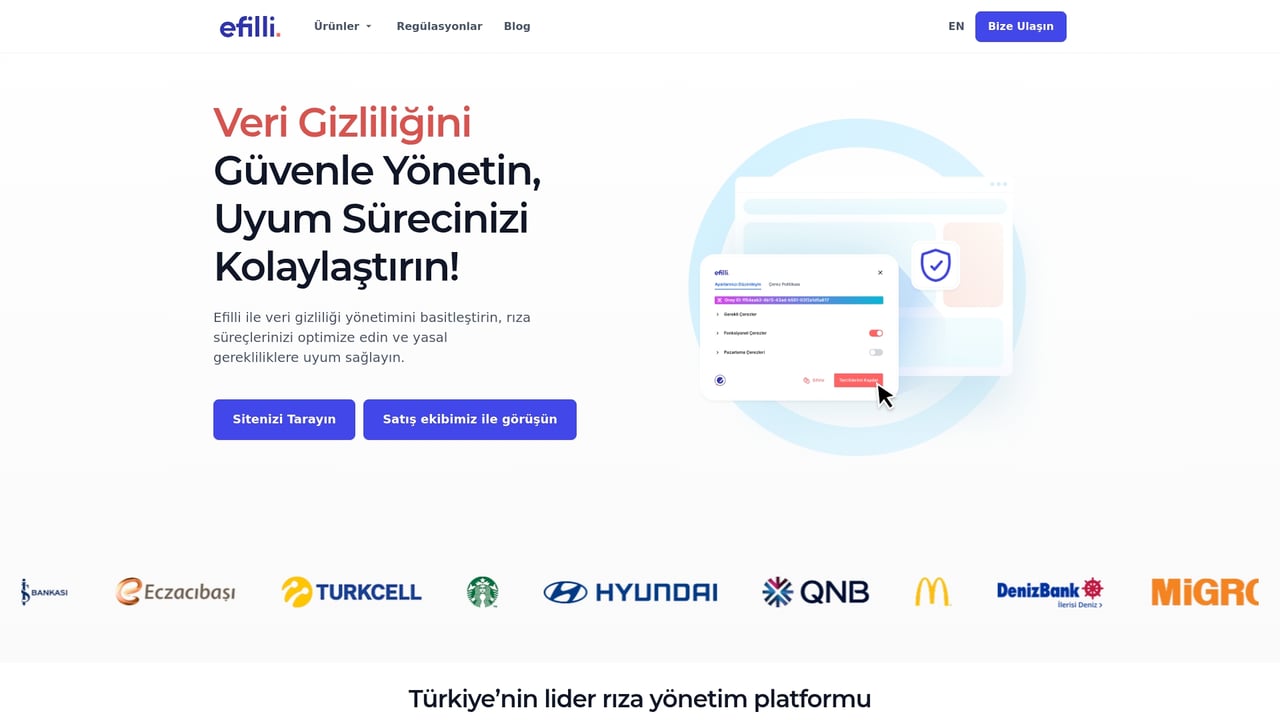Screenshot of Efilli website