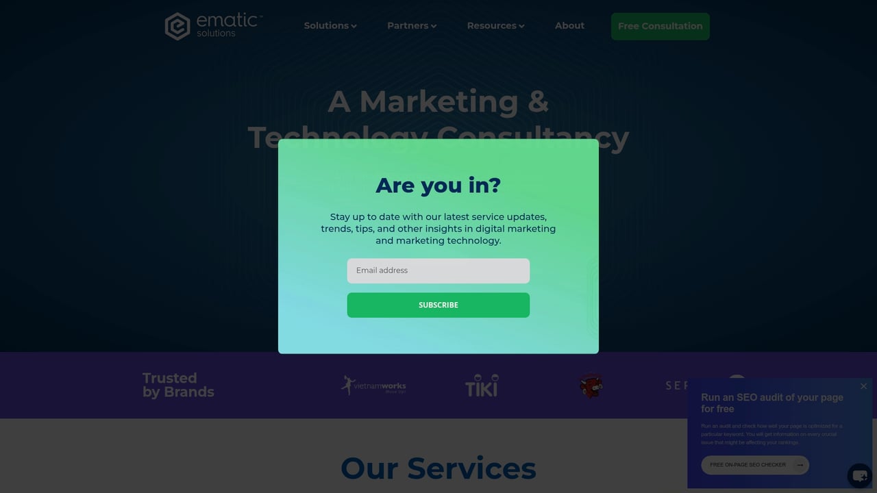Screenshot of Ematic Solutions website