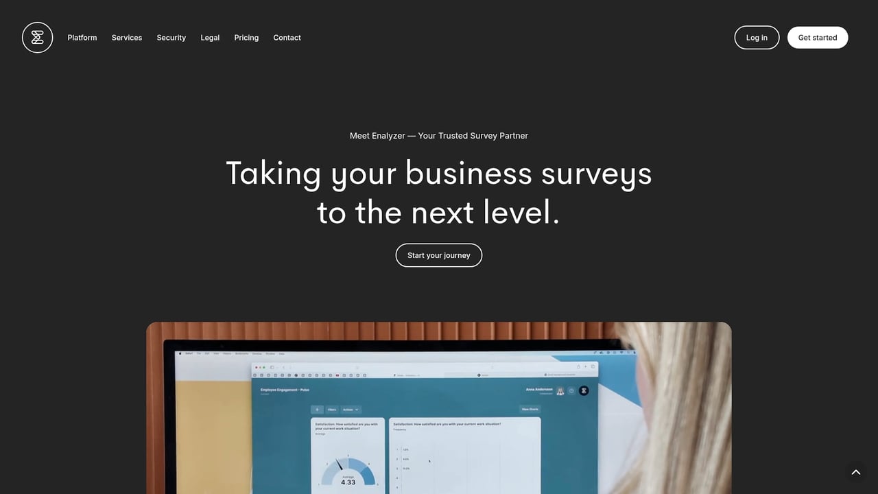 Screenshot of Enalyzer website