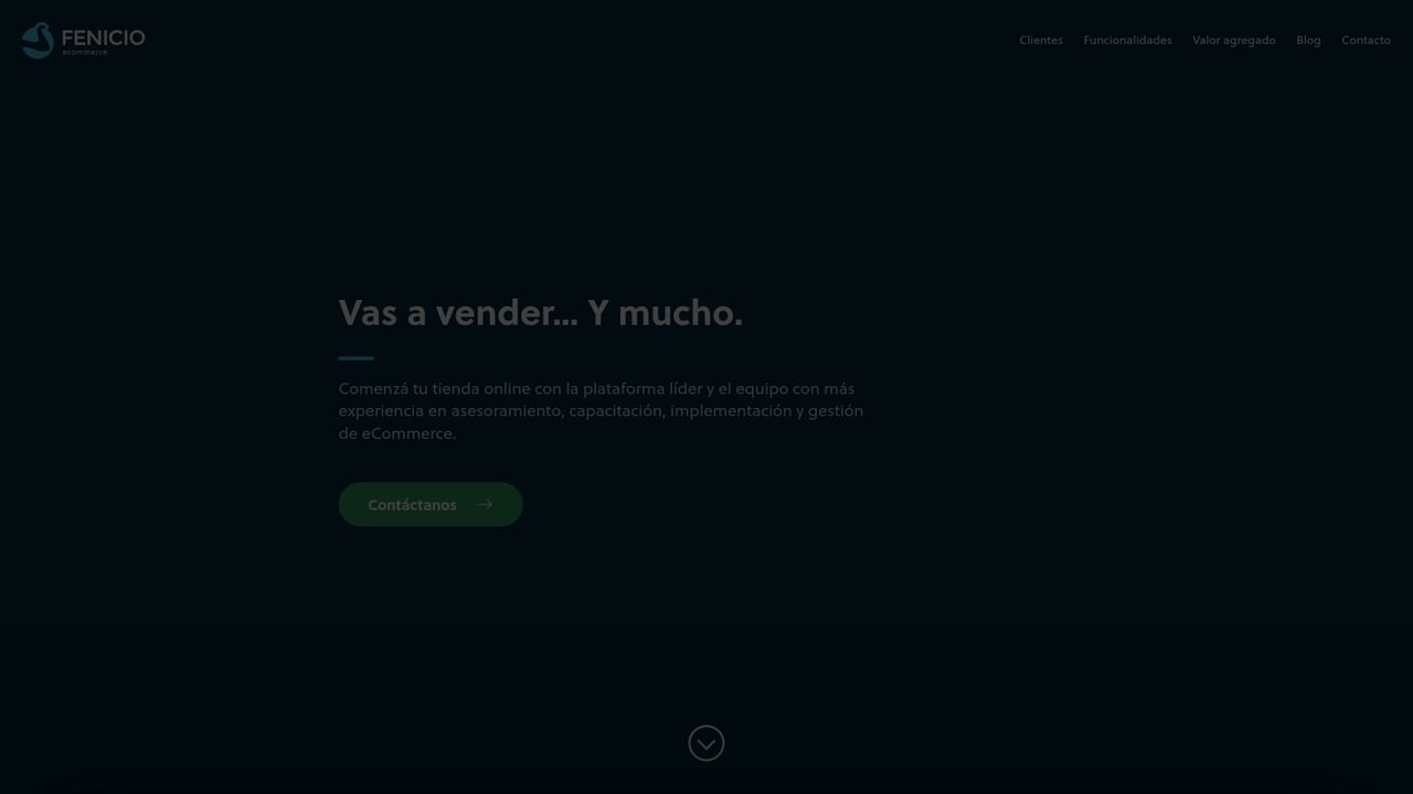 Screenshot of Fenicio website