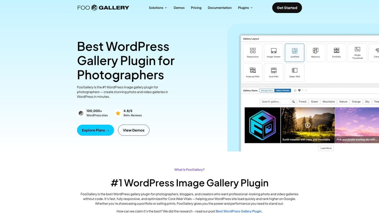 Screenshot of FooPlugins FooGallery website