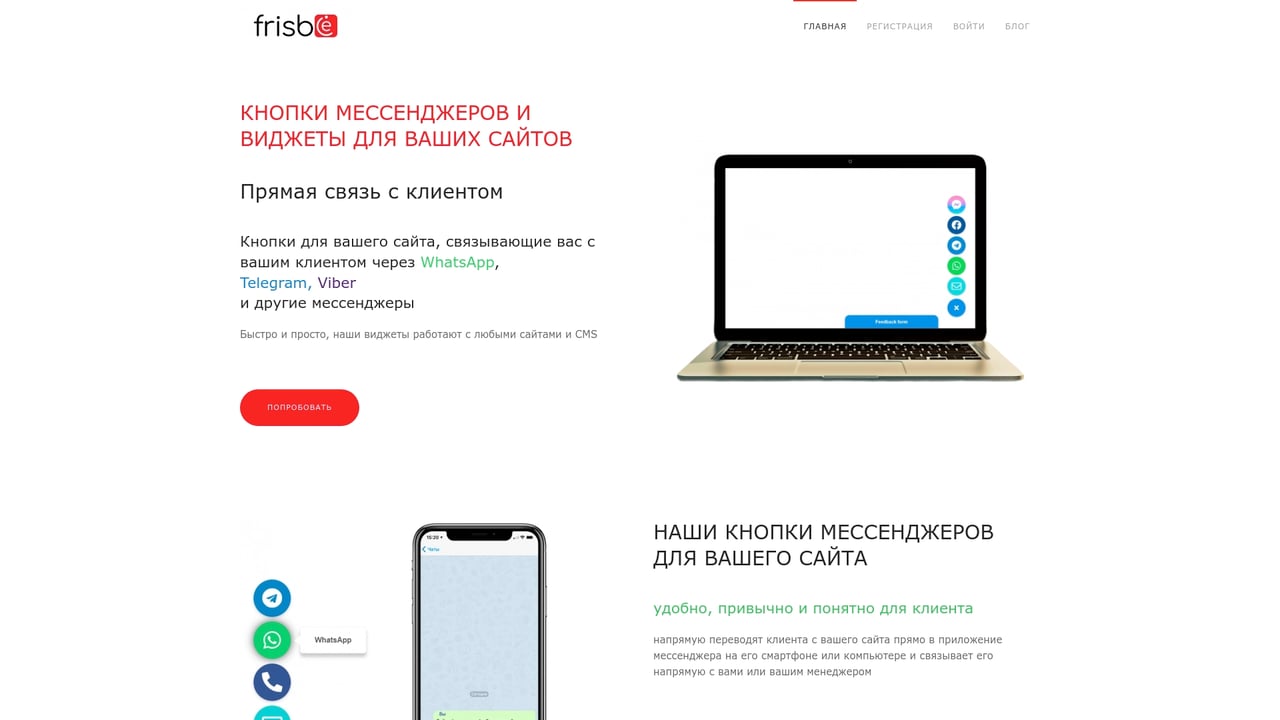 Screenshot of Frisbie website