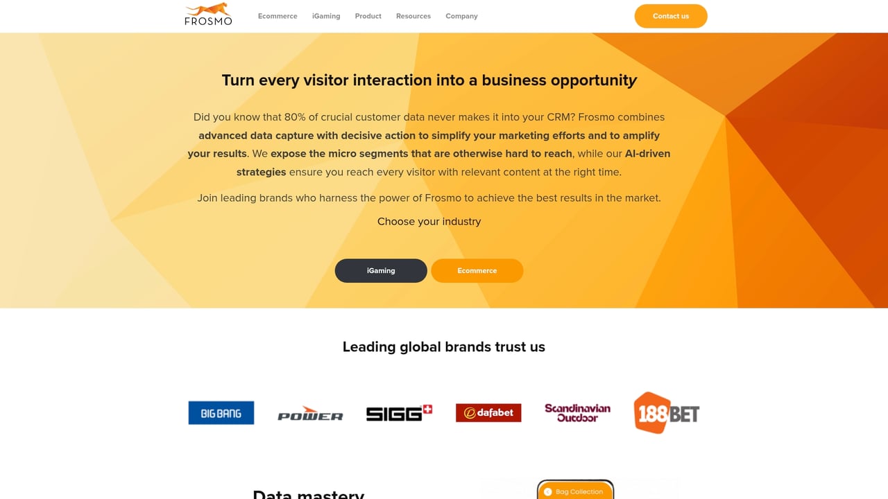 Screenshot of Frosmo website