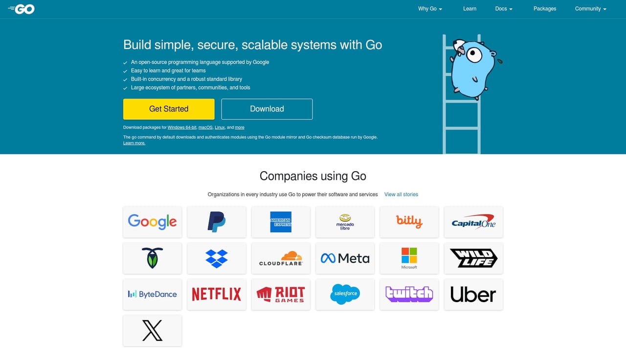 Screenshot of Go website
