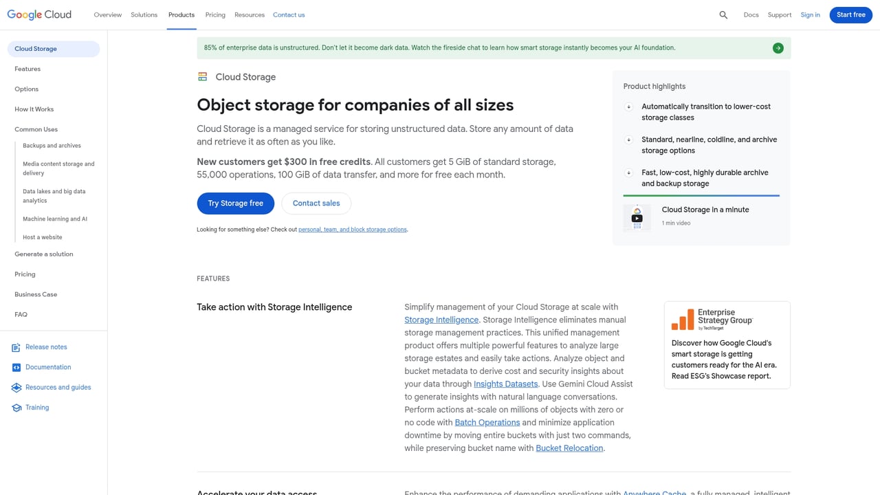 Screenshot of Google Cloud Storage website