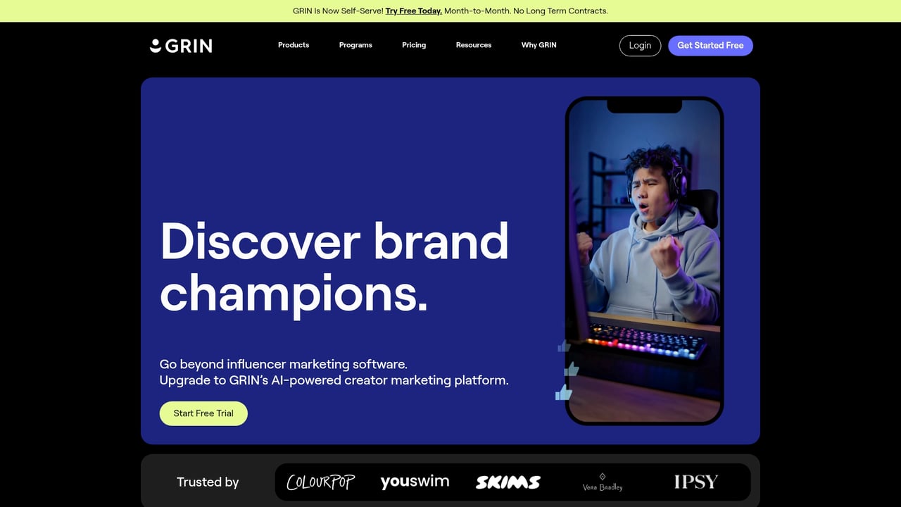 Screenshot of Grin website