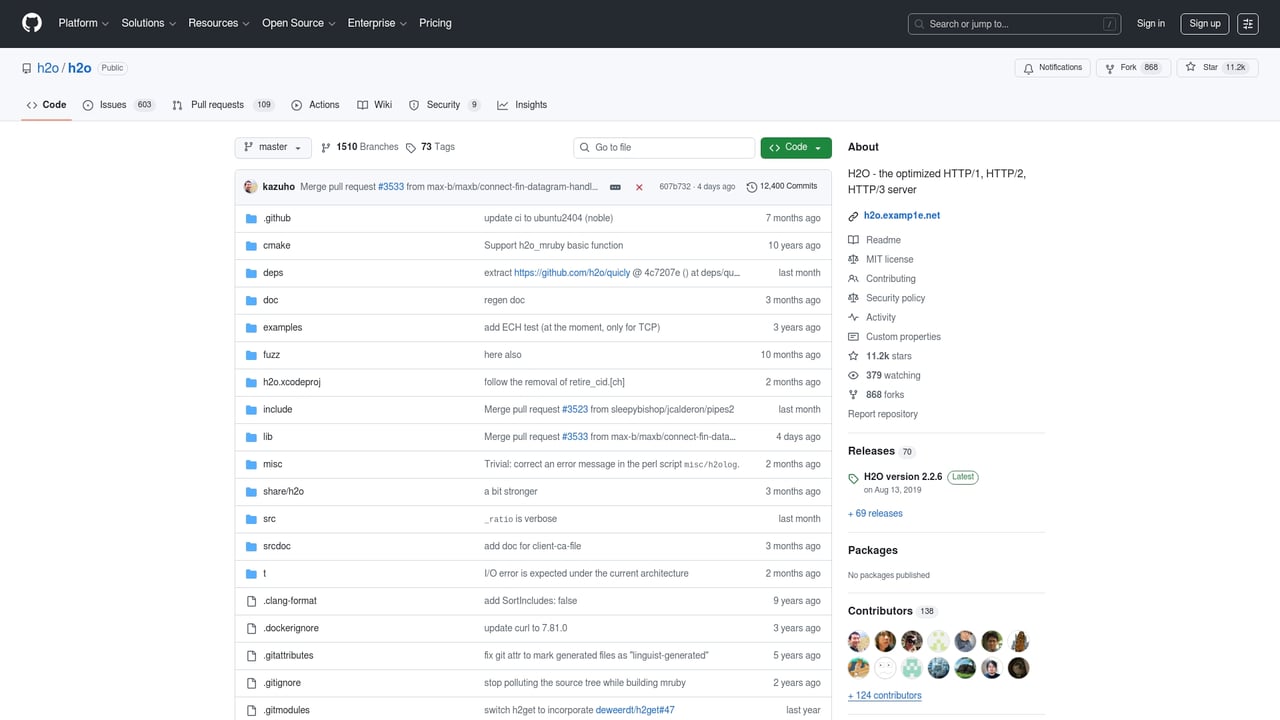 Screenshot of H2O website