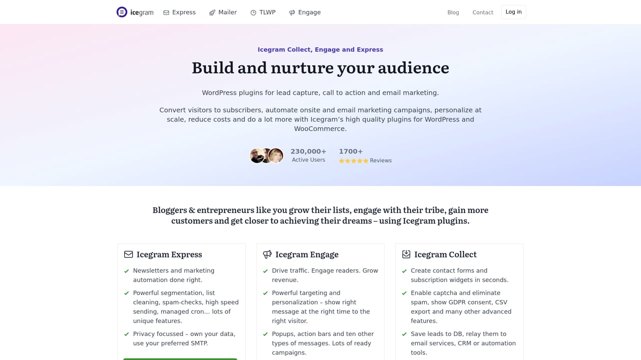 Screenshot of Icegram website