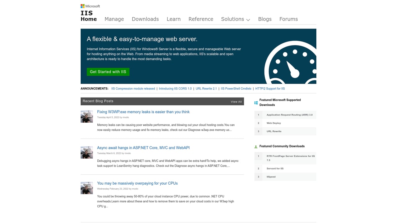 Screenshot of IIS website
