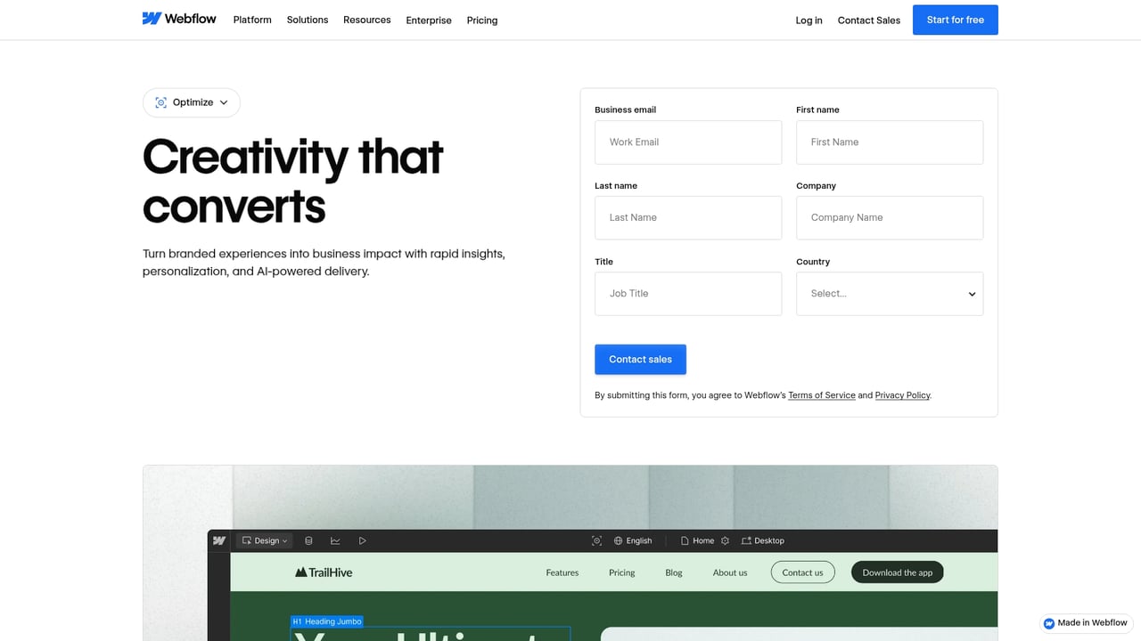 Screenshot of Intellimize website
