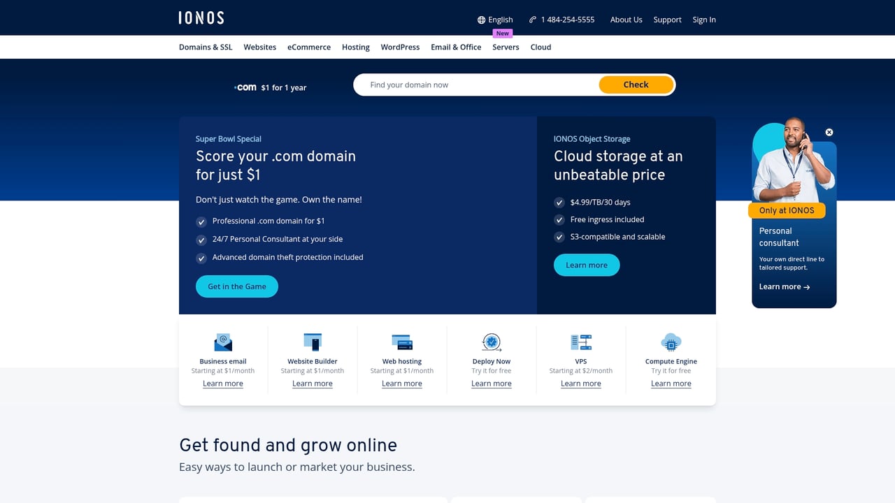 Screenshot of IONOS website