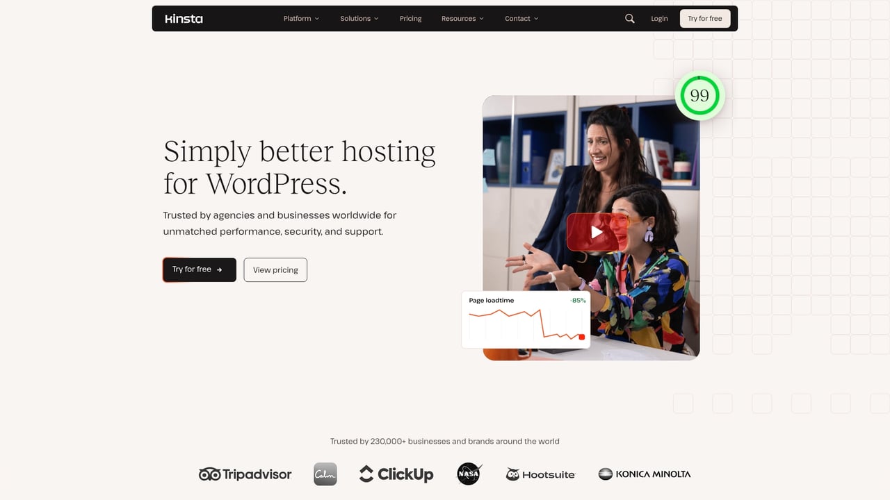 Screenshot of Kinsta website