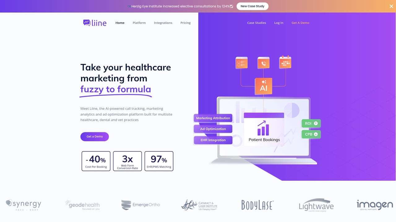 Screenshot of Liine website