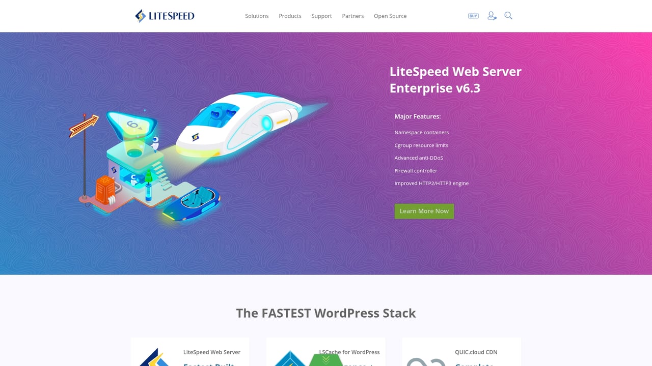 Screenshot of LiteSpeed website