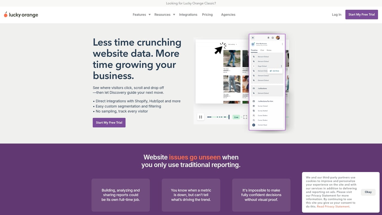 Screenshot of Lucky Orange website