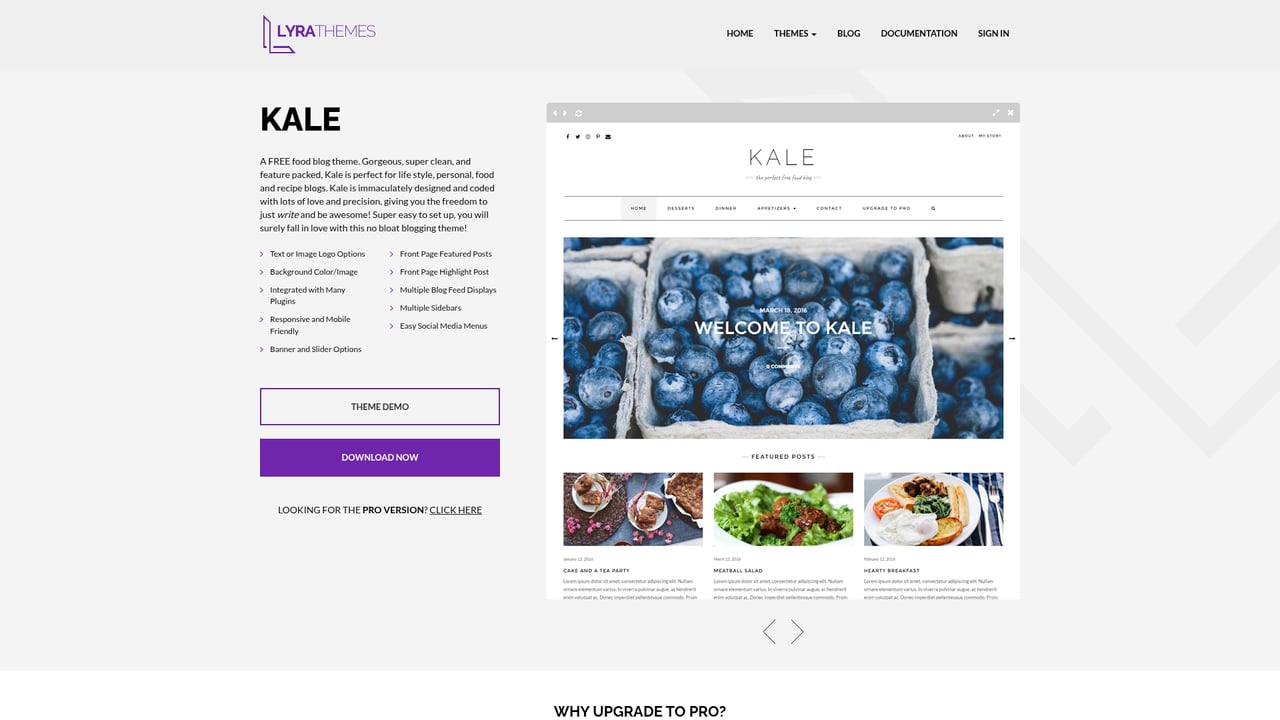 Screenshot of LyraThemes Kale website