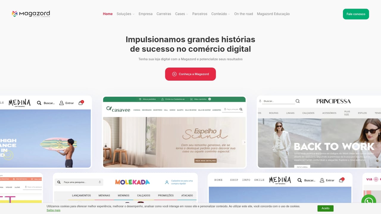 Screenshot of Magazord website