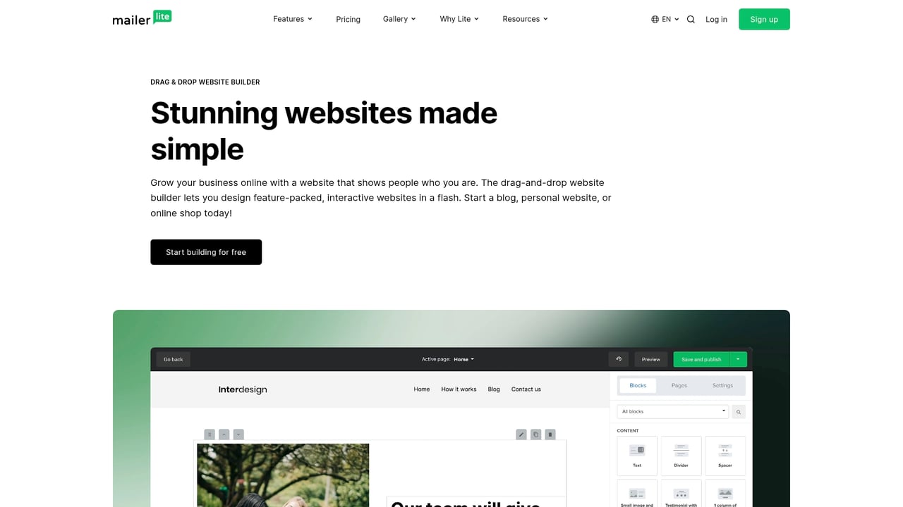 Screenshot of MailerLite Website Builder website