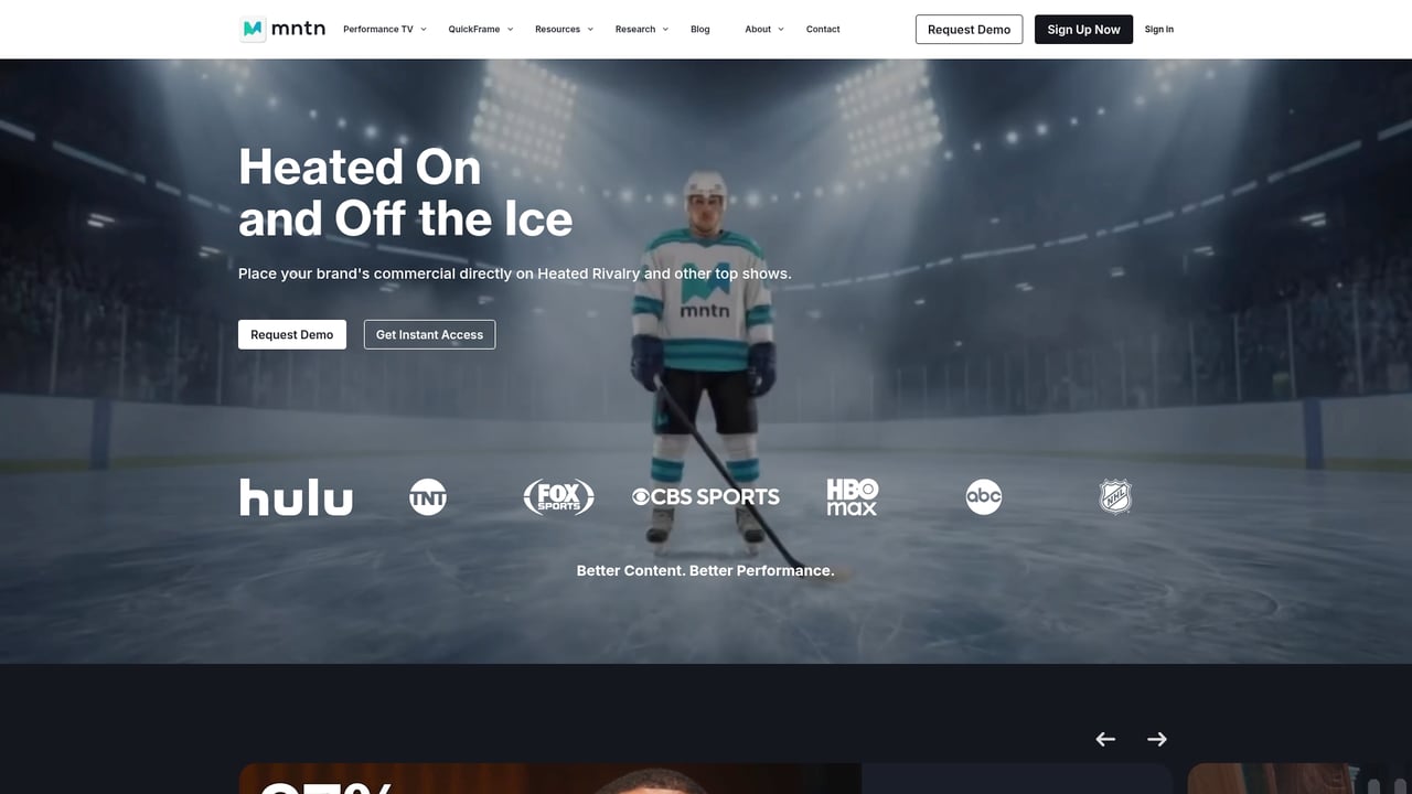 Screenshot of MNTN website