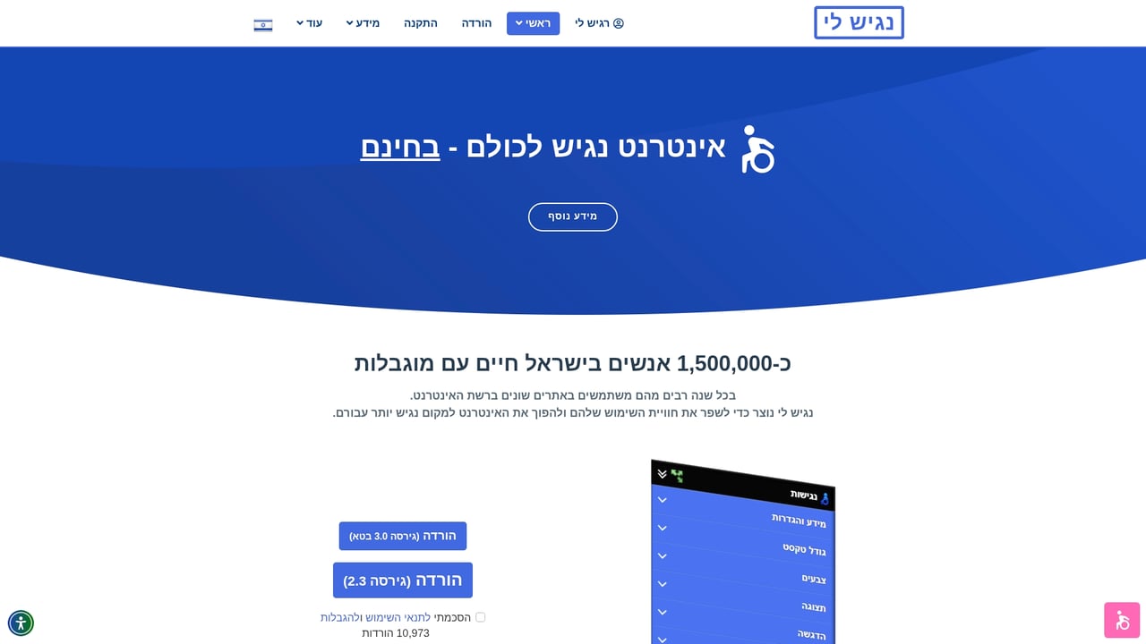 Screenshot of NagishLi website