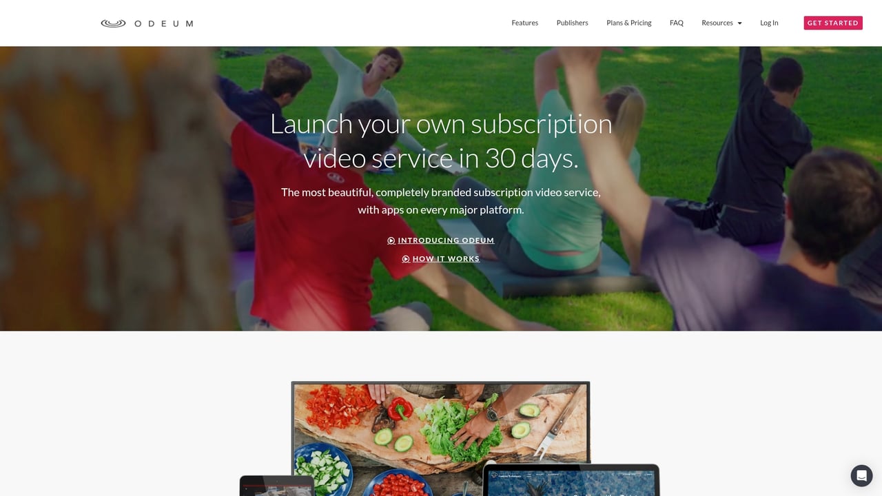 Screenshot of Odeum website