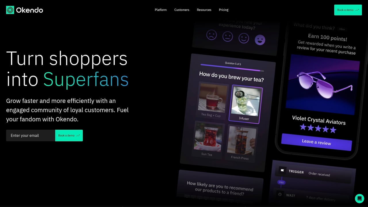 Screenshot of Okendo website