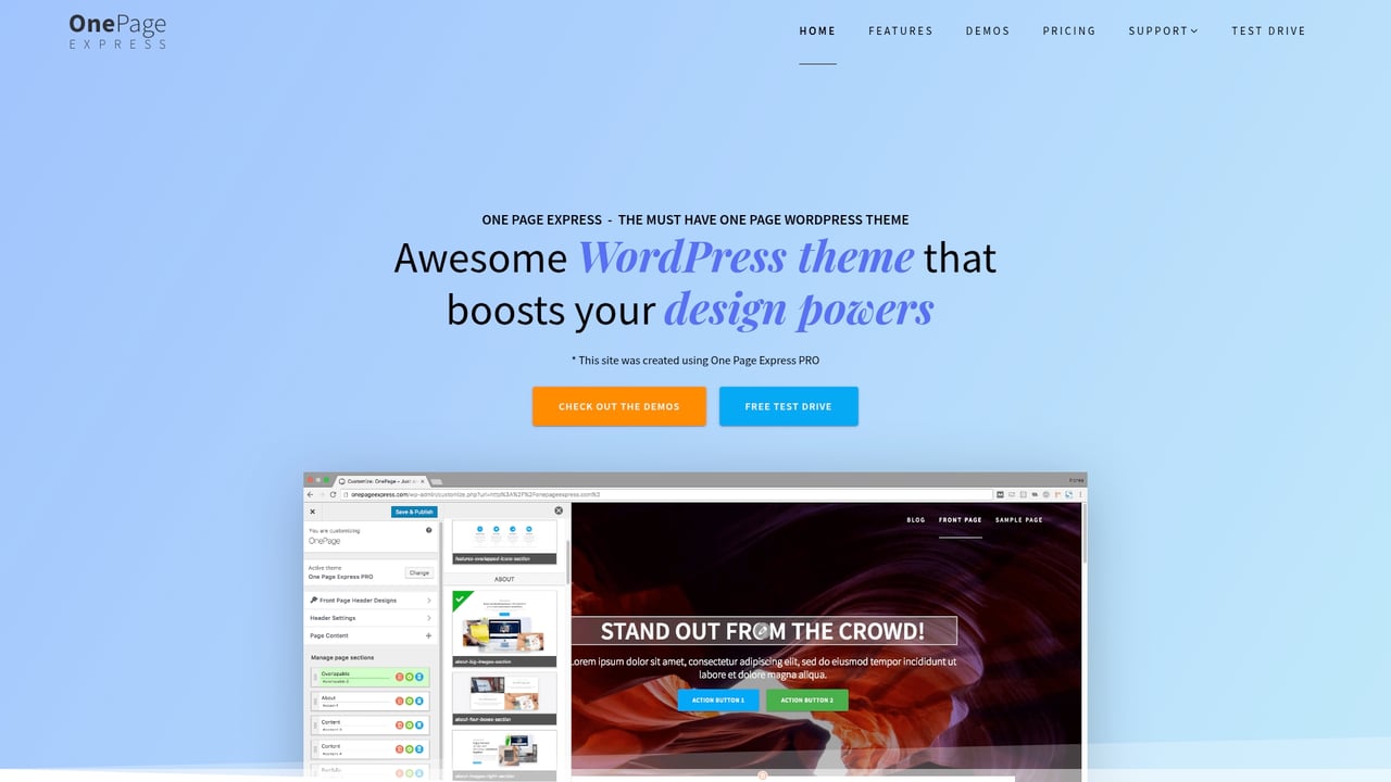 Screenshot of OnePage Express website