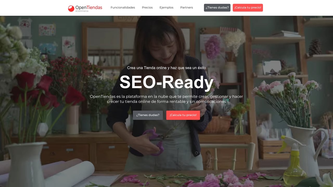 Screenshot of OpenTiendas website