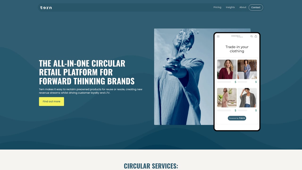 Screenshot of Tern website